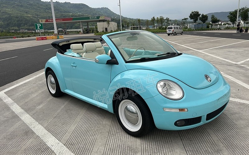 敞篷甲殼蟲(chóng)